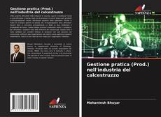 Bookcover of Gestione pratica (Prod.) nell'industria del calcestruzzo