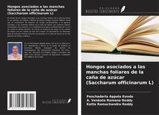 Borítókép a  Hongos asociados a las manchas foliares de la caña de azúcar (Saccharum officinarum L) - hoz