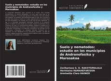Bookcover of Suelo y nematodos: estudio en los municipios de Andranofasika y Marosakoa
