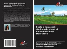Bookcover of Suolo e nematodi: studio nei comuni di Andranofasika e Marosakoa