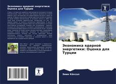 Capa do livro de Экономика ядерной энергетики: Оценка для Турции 