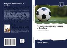 Portada del libro de Культура, идентичность и футбол