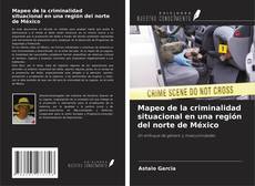 Capa do livro de Mapeo de la criminalidad situacional en una región del norte de México 