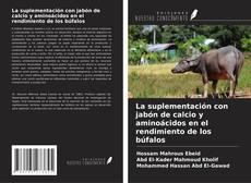Couverture de La suplementación con jabón de calcio y aminoácidos en el rendimiento de los búfalos