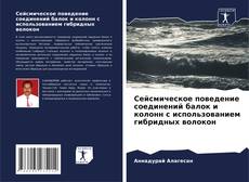 Bookcover of Сейсмическое поведение соединений балок и колонн с использованием гибридных волокон