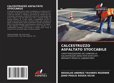 Bookcover of CALCESTRUZZO ASFALTATO STOCCABILE