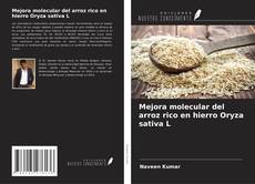Mejora molecular del arroz rico en hierro Oryza sativa L的封面