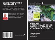 Couverture de ACTIVIDAD ANTIBACTERIANA DE LOS ACEITES ESENCIALES DE VIT CAMPUS Y SU MUELLE