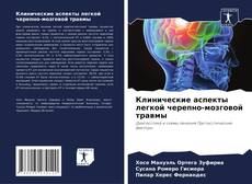 Copertina di Клинические аспекты легкой черепно-мозговой травмы