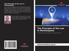 Couverture de The Principle of the Law in Montesquieu