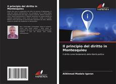 Bookcover of Il principio del diritto in Montesquieu