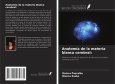 Anatomía de la materia blanca cerebral:的封面