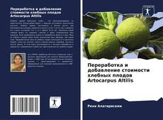 Copertina di Переработка и добавление стоимости хлебных плодов Artocarpus Altilis