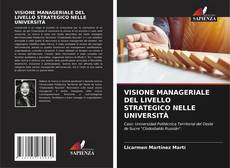 VISIONE MANAGERIALE DEL LIVELLO STRATEGICO NELLE UNIVERSITÀ kitap kapağı
