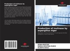 Buchcover von Production of inulinase by aspergillus niger