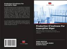 Production D'inulinase Par Aspergillus Niger kitap kapağı