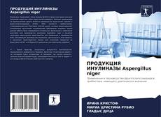 Buchcover von ПРОДУКЦИЯ ИНУЛИНАЗЫ Aspergillus niger