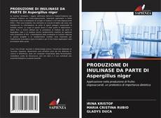 Bookcover of PRODUZIONE DI INULINASE DA PARTE DI Aspergillus niger