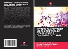 Buchcover von ESTRUTURA CRISTALINA ÚNICA COMPOSTA DE CICLOBUTANO E COMPOSTO DE TIAZOL