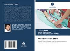 Arteriovenöse Fisteln kitap kapağı