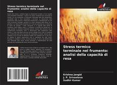 Обложка Stress termico terminale nel frumento: analisi della capacità di resa