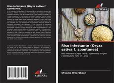 Buchcover von Riso infestante (Oryza sativa f. spontanea)