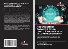 MECCANISMI DI GARANZIA DELLA QUALITÀ ED EFFICACIA DELL'APPRENDIMENTO的封面