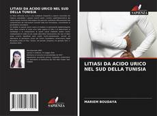 Bookcover of LITIASI DA ACIDO URICO NEL SUD DELLA TUNISIA