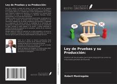 Capa do livro de Ley de Pruebas y su Producción: 