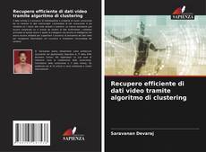 Buchcover von Recupero efficiente di dati video tramite algoritmo di clustering