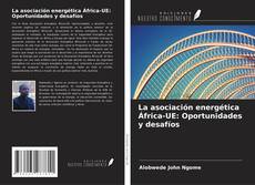 La asociación energética África-UE: Oportunidades y desafíos的封面