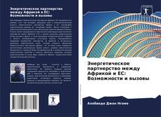 Capa do livro de Энергетическое партнерство между Африкой и ЕС: Возможности и вызовы 