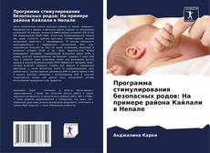 Copertina di Программа стимулирования безопасных родов: На примере района Кайлали в Непале