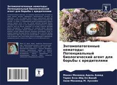 Bookcover of Энтомопатогенные нематоды: Потенциальный биологический агент для борьбы с вредителями