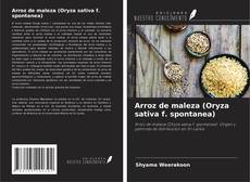 Copertina di Arroz de maleza (Oryza sativa f. spontanea)