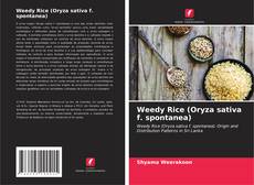 Borítókép a  Weedy Rice (Oryza sativa f. spontanea) - hoz