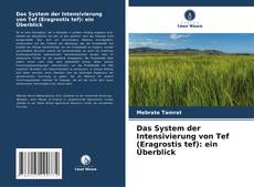 Bookcover of Das System der Intensivierung von Tef (Eragrostis tef): ein Überblick