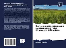 Система интенсификации выращивания тефа (Eragrostis tef): обзор kitap kapağı