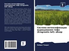 Capa do livro de Система интенсификации выращивания тефа (Eragrostis tef): обзор 