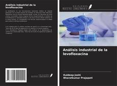 Análisis industrial de la levofloxacina kitap kapağı