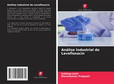 Análise Industrial do Levofloxacin kitap kapağı