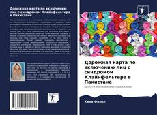 Capa do livro de Дорожная карта по включению лиц с синдромом Клайнфельтера в Пакистане 