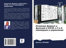 Обложка Освоение формул и функций в EXCEL в 5 и 6 коммерция и управление