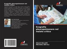 Buchcover von Ecografia pleuropolmonare nel malato critico