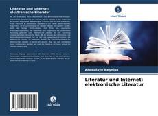 Literatur und Internet: elektronische Literatur kitap kapağı