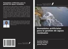Humedales artificiales para la gestión de aguas residuales的封面