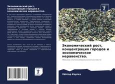 Copertina di Экономический рост, концентрация городов и экономическое неравенство.