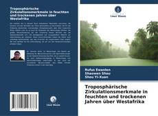 Bookcover of Troposphärische Zirkulationsmerkmale in feuchten und trockenen Jahren über Westafrika