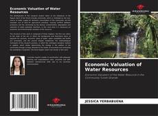 Economic Valuation of Water Resources的封面
