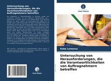 Bookcover of Untersuchung von Herausforderungen, die die Verantwortlichkeiten von Auftragnehmern betreffen
